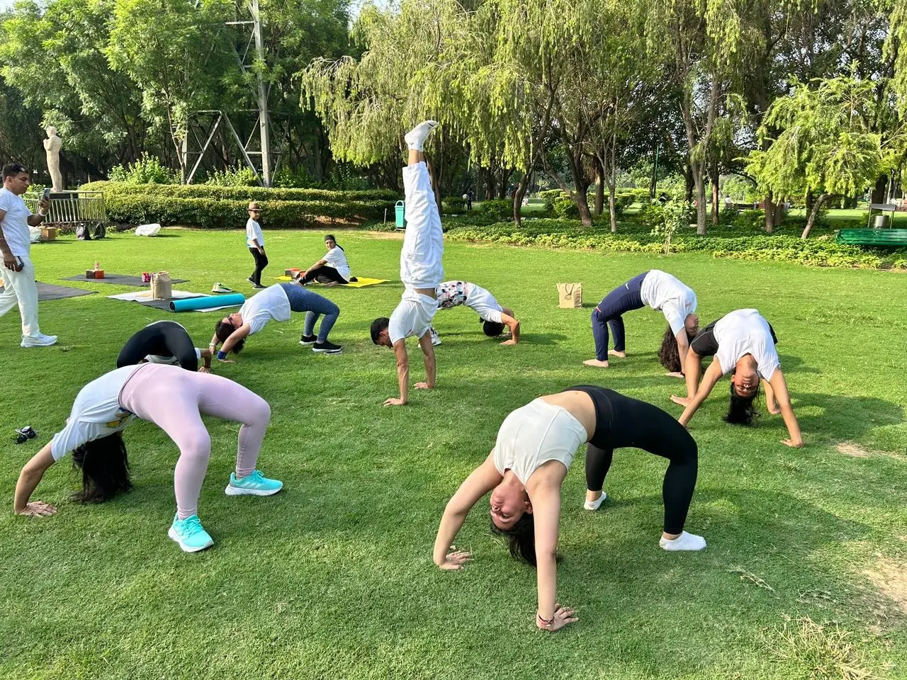 VedNava Yoga